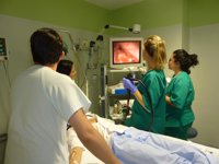 Destacan las mejoras en el área pediátrica del hospital Juan Ramón Jiménez para evitar desplazamientos a Sevilla