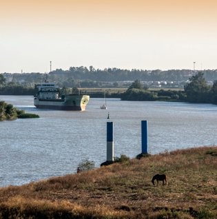 Foto del Puerto de Sevilla