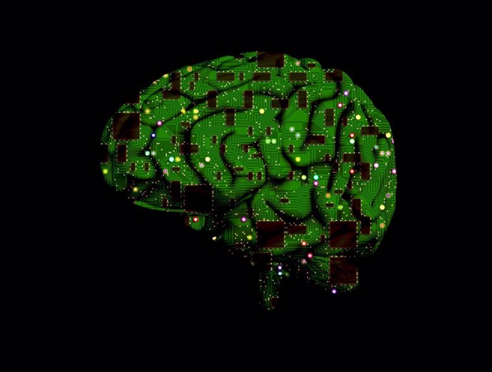 Cerebro, chip informático