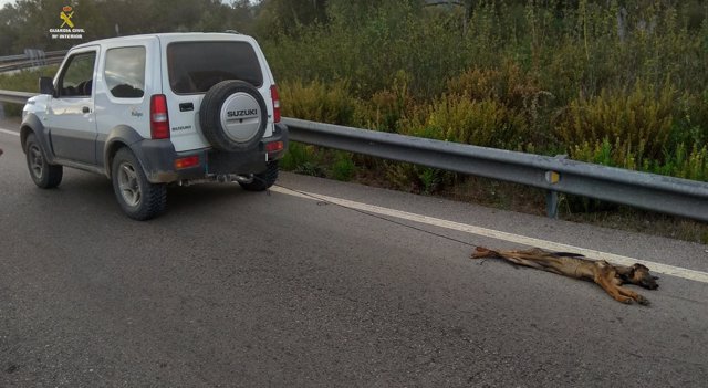 Perro arrastrado por un coche en Jimena de la Frontera (Cádiz)