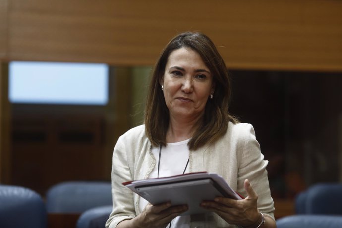 La diputada del PP en la Asamblea de Madrid, Isabel González