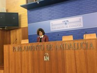 Podemos propone un debate sobre reforma territorial para "no centrar en Cataluña" el Estado de la Comunidad