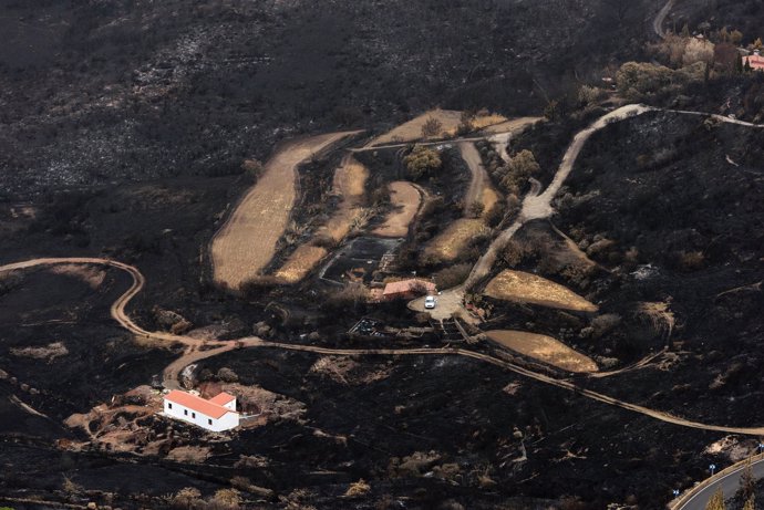 Terreno quemado enel incendio de Gran Canaria