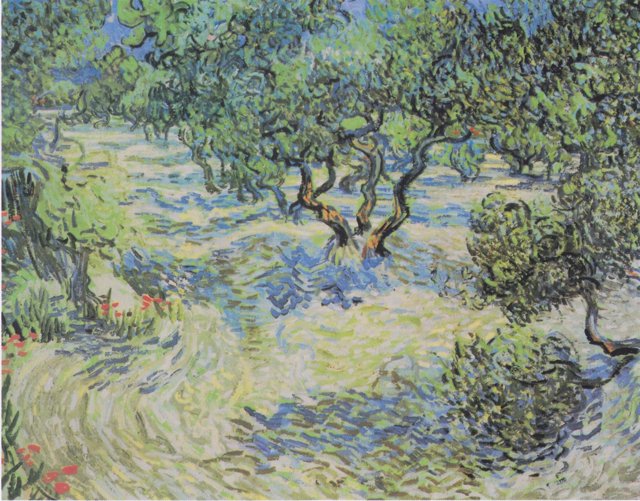 Los Olivos de Van Gogh
