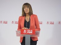 Mendia dice que la tarea del PSE no terminará hasta que "todos verbalicen" que "el terror" nunca debió existir
