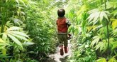 Foto: El niño mexicano con autismo que usa marihuana medicinal para mejorar su vida