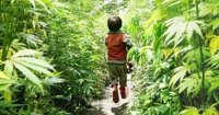El niño mexicano con autismo que usa marihuana medicinal para mejorar su vida