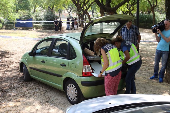 Crimen de una mujer semicalcinada en el Parque Amate de Sevilla