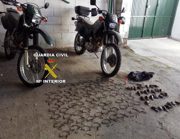 Artes de captura prohibidas y aves muertas intervenidas por el Seprona.