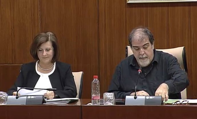 Sánchez Rubio en la Comisión de Igualdad en el Parlamento