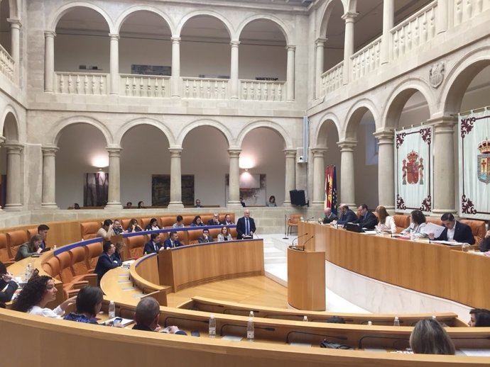 Sesión del Pleno del Parlamento de La Rioja