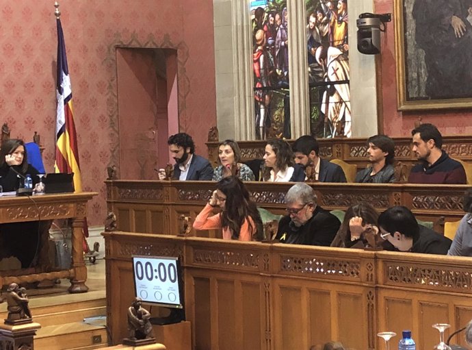 Momento del pleno del Consell de Mallorca