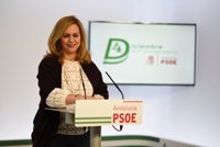 PSOE-A llevará mociones a los ayuntamientos para exigir que el Gobierno elimine las peonadas en el campo