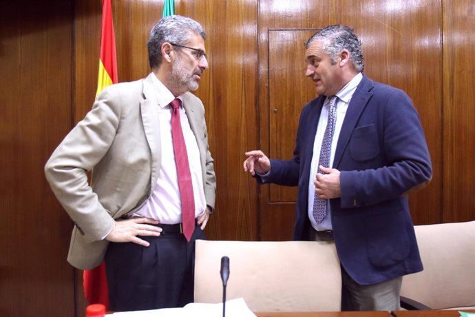 Javier Carnero, en comisión parlamentaria.