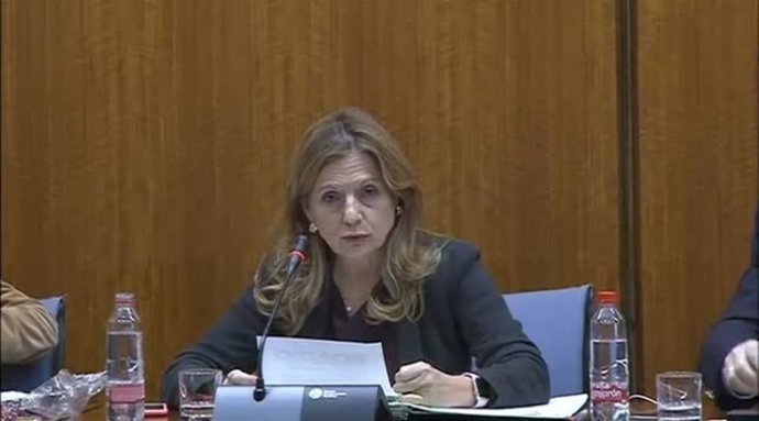 Marina Álvarez en comisión parlamentaria