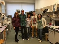 Investigadores de la UCLM abren el camino a nuevos tratamientos contra el alzhéimer