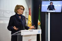 El PP pide un "gabinete de crisis" sobre el servicio de ambulancias en el que "no esté el consejero"