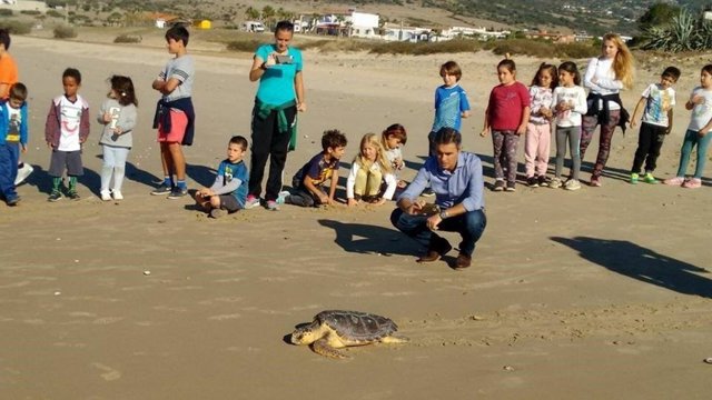 Liberación de una tortuga en Bolonia