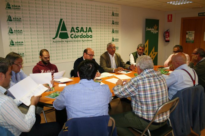 Reunión de la Sectoral del Ajo de Asaja-Córdoba