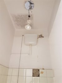 CSIF denuncia el "bochornoso" estado de aseos del Ayuntamiento de Santander