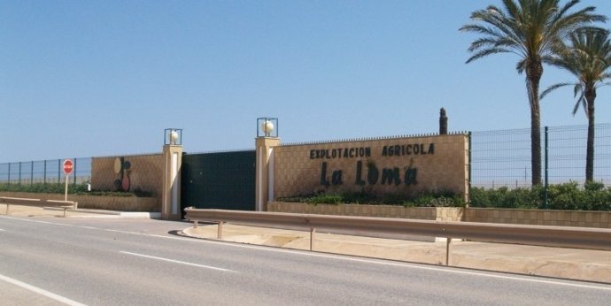 Finca La Loma en Murcia