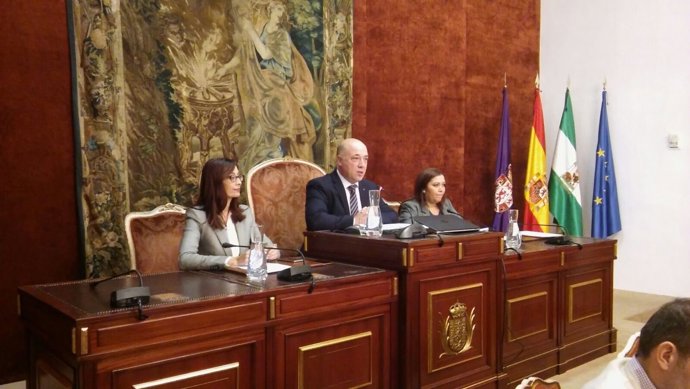 Antonio Ruiz preside el Pleno de la Diputación