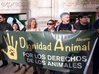 Guanyar Alacant cree que el camino tomado por Echávarri con un "microgobierno" de 6 ediles es un "suicidio político