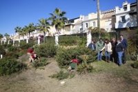 La Diputación colabora en proteger especies en una zona dunar de Marbella por la que transcurrirá la Senda Litoral