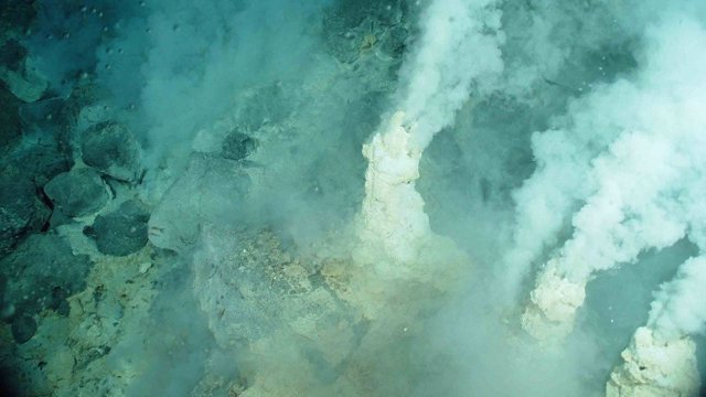 Actividad hidrotermal submarina