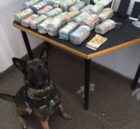 La unidad canina detecta en un autobús en Alicante una maleta con 200.000 euros y detienen al dueño por blanqueo