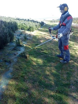 Trabajos de jardinería en la Escuela Taller Ricardo Magdalena.