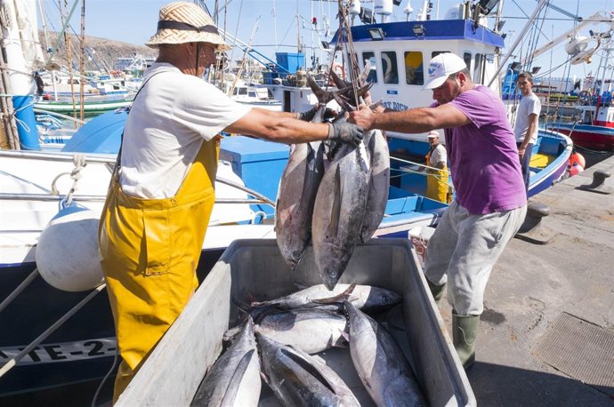Pescadores en Tenerife