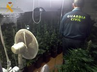 Detenida una persona y desmantelado un cultivo 'indoor' de marihuana en un paraje de Lucena (Córdoba)