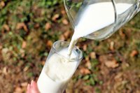 La leche y sus derivados podrían prevenir el cáncer colorrectal, de mama y de tiroides