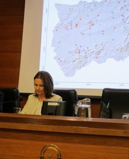 La delegada del Gobierno andaluz en Jaén, Ana Cobo.