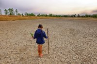Más del 95% de las muertes por fenómenos ambientales o desastres naturales suceden en países en vías de desarrollo