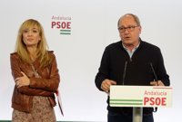 PSOE-A pide al Gobierno un 55% de fondos para un plan extraordinario de empleo agrario