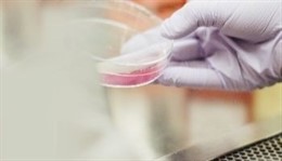 Fundación Aquae celebra la Semana de la Ciencia