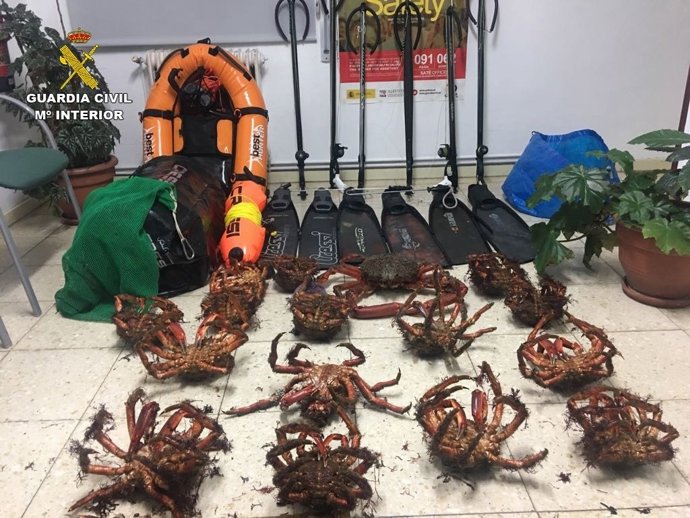 Remitiendo Nota De Prensa