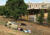 Participa alerta de una "plaga de roedores" en el CEIP Valeriano Bécquer de Palmete