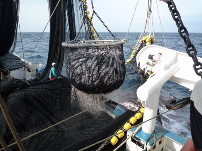 Barco atunero de pesca