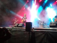 Las 3.600 personas que acudieron al 'Bilbao 1980 Pop Festival' aportan 35.000 euros para luchar contra el Párkinson 