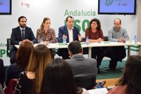 PSOE de Málaga dice que Nerja "no se merece volver al pasado" y confía en que no se lleve a cabo la moción de censura