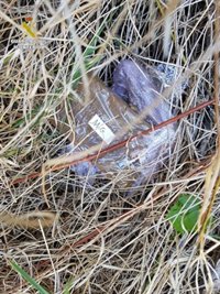 Detenidos tras arrojar cinco kilos de hachís por la ventanilla del coche durante una persecución