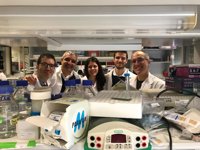 Identificado un nuevo mecanismo que frena el cáncer pediátrico más frecuente