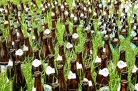 Usan desechos de la industria cervecera en la fabricación de un nuevo material aislante para techos verdes
