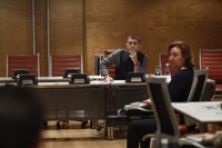 PP del Senado no se plantea llevar a la Fiscalía la declaración de Monedero en la comisión de financiación de partidos