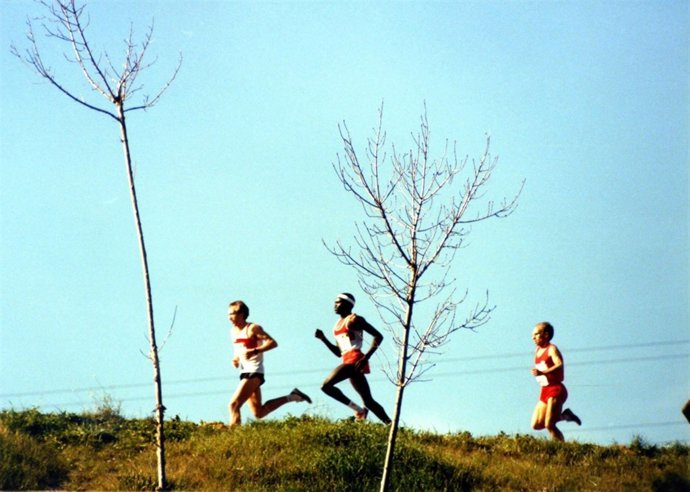 El XXXVI Cross de Itálica calienta motores.