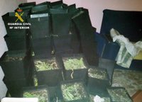 La Guardia Civil desmantela un invernadero de marihuana en un piso ocupado ilegalmente en Alguazas