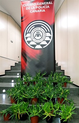 Nota Y Foto Intervención Policial